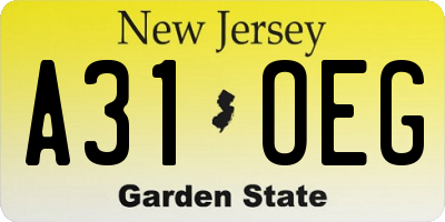NJ license plate A31OEG