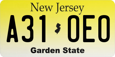 NJ license plate A31OEO