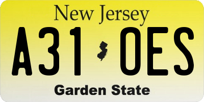 NJ license plate A31OES
