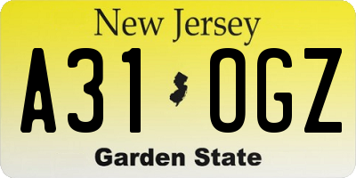 NJ license plate A31OGZ