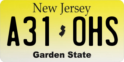 NJ license plate A31OHS