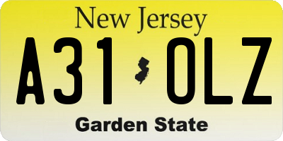 NJ license plate A31OLZ