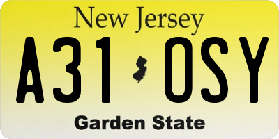 NJ license plate A31OSY