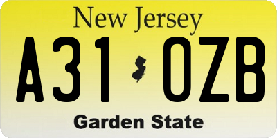 NJ license plate A31OZB