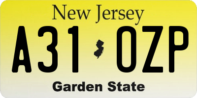 NJ license plate A31OZP