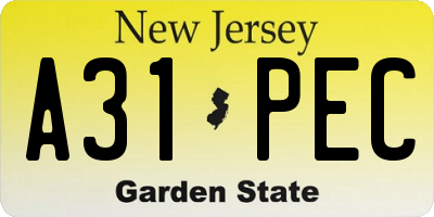 NJ license plate A31PEC