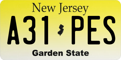 NJ license plate A31PES