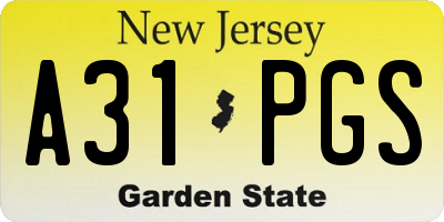 NJ license plate A31PGS