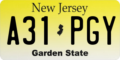 NJ license plate A31PGY