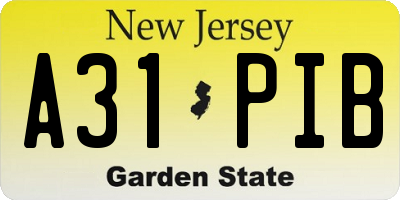 NJ license plate A31PIB
