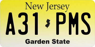 NJ license plate A31PMS