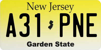 NJ license plate A31PNE