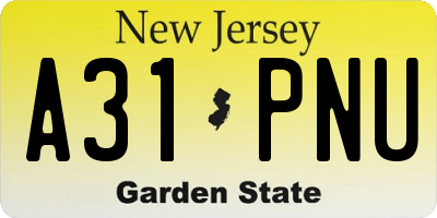 NJ license plate A31PNU
