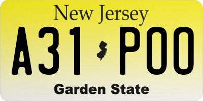 NJ license plate A31POO