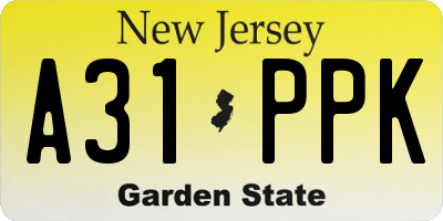NJ license plate A31PPK