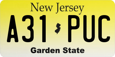 NJ license plate A31PUC