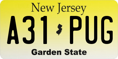 NJ license plate A31PUG
