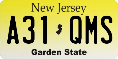 NJ license plate A31QMS
