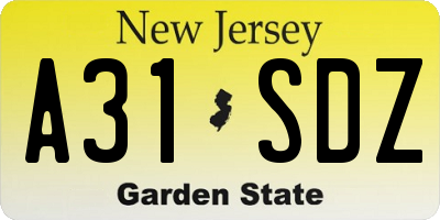 NJ license plate A31SDZ