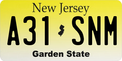 NJ license plate A31SNM