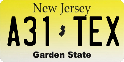 NJ license plate A31TEX