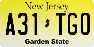 NJ license plate A31TGO