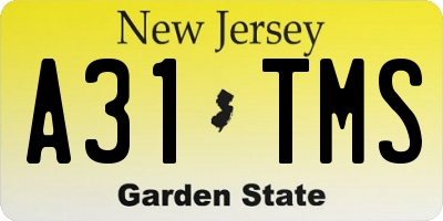 NJ license plate A31TMS