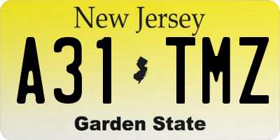 NJ license plate A31TMZ