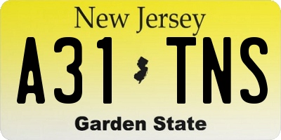 NJ license plate A31TNS