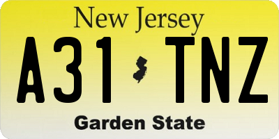 NJ license plate A31TNZ