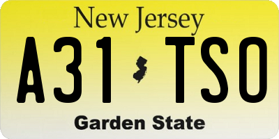 NJ license plate A31TSO