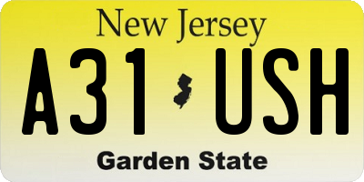 NJ license plate A31USH