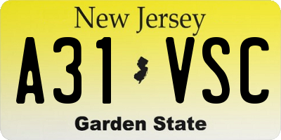 NJ license plate A31VSC