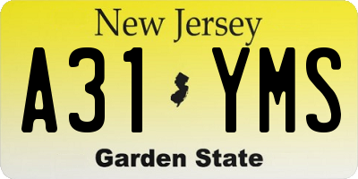 NJ license plate A31YMS