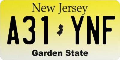 NJ license plate A31YNF