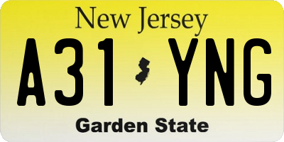 NJ license plate A31YNG