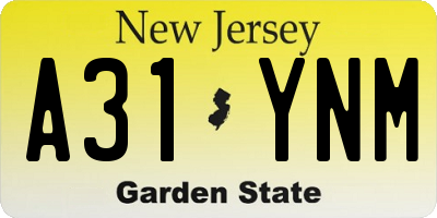 NJ license plate A31YNM