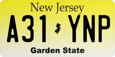 NJ license plate A31YNP
