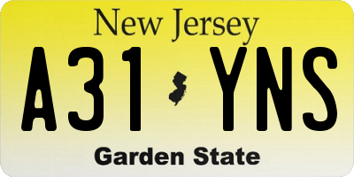 NJ license plate A31YNS