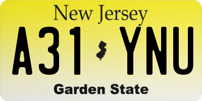 NJ license plate A31YNU