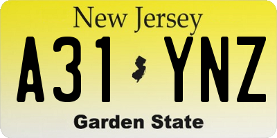 NJ license plate A31YNZ