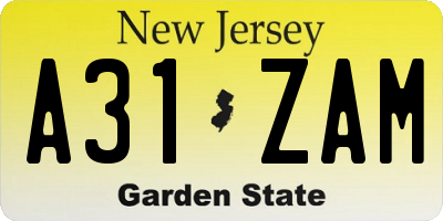 NJ license plate A31ZAM