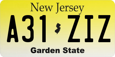 NJ license plate A31ZIZ