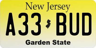NJ license plate A33BUD