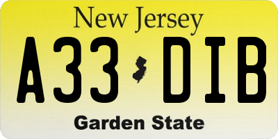NJ license plate A33DIB