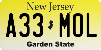 NJ license plate A33MOL