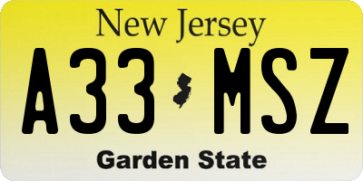 NJ license plate A33MSZ