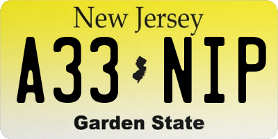 NJ license plate A33NIP