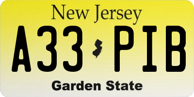 NJ license plate A33PIB