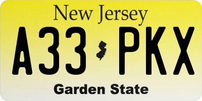 NJ license plate A33PKX